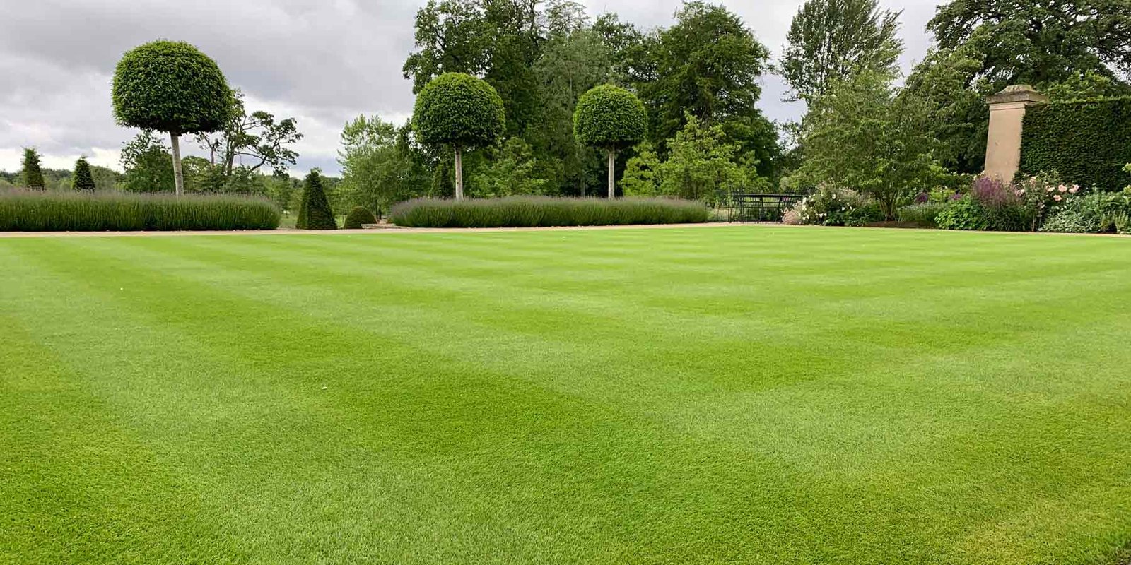 Meditation Lawn